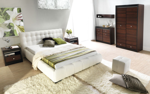 Фото шкафа 2D FORREST FR9 BOGFRAN в интерьере спальни