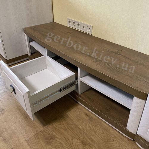 Фото вітальні ОРЕГОН БРВ (ВМК)  від покупця – наповнення тумби під телевізор