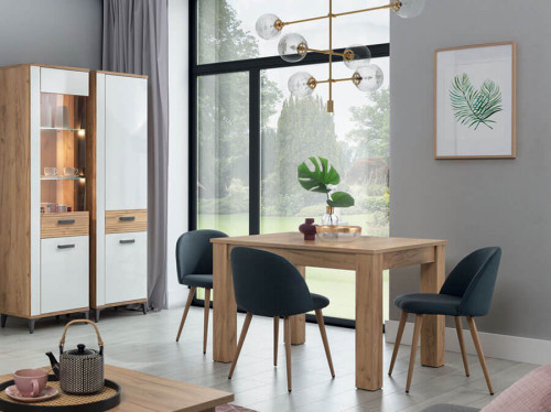 Фото пенала SNOBI SB10 BOGFRAN в интерьере столовой