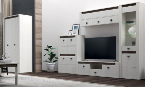 Фото шафи СЕЛЕНА SZF2D Гербор в інтер'єрі вітальні