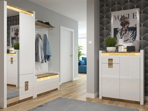 Фото шкафа ALAMEDA REG1D1M2S BRW в интерьере прихожей