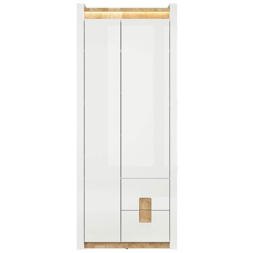 Фото шкафа ALAMEDA REG2D2S BRW – вид спереди