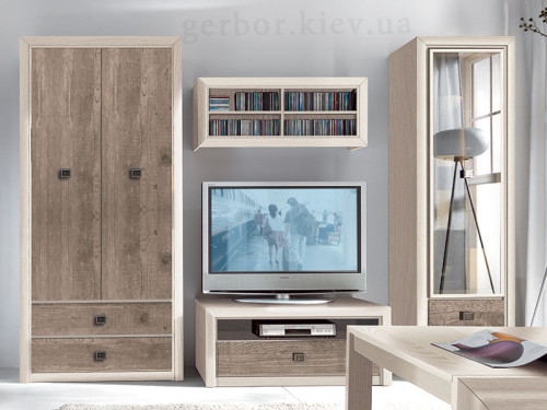 Фото шафи КОЕН II SZF2D2S БРВ ВМК в інтер'єрі вітальні