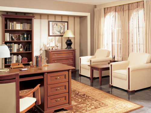 Фото стеллажа СТИЛИУС NREG100 БРВ в интерьере кабинета