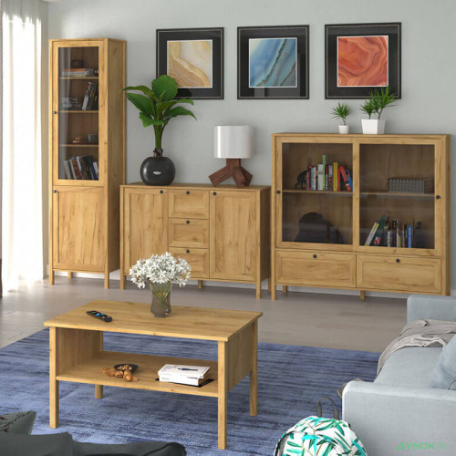 Фото вітрини KLARK 1W1D ВМВ в інтер'єрі вітальні