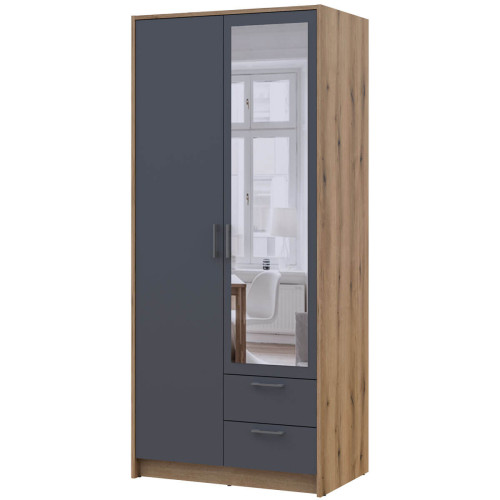 Фото шафи з дзеркалом 2 ДСП РОНДІ ДОРОС (DOROS) 82х52х195 дуб артизан / графіт