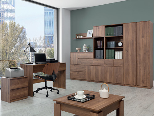 Фото шафи REMI RM10 LIVEO BOGFRAN дуб кастелло в інтер'єрі