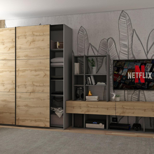 G-КАЙЗЕР Шафа-купе 2 ДСП ДОРОС (DOROS) 160х60х240