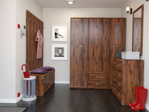 Фото вішака ІНДІАНА JWIE60 БРВ дуб шутер в інтер'єрі передпокою