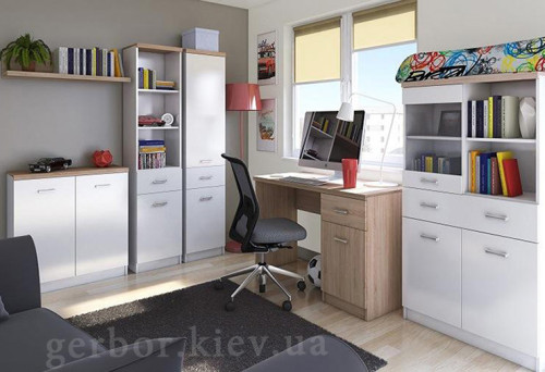 Фото пенала REG 2D1S TOP-MIX VMV Holding белый / дуб сонома в интерьере кабинета