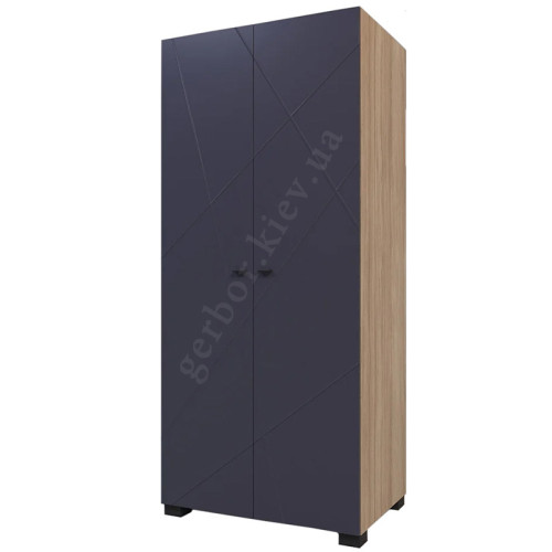 Фото шкафа Х-СКАУТ Х-02 Санти дуб каменный / графит