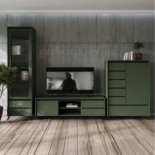 Фото вітрини ЛАУНДЖ REG1W2S БРВ (ВМК) зелений димчастий / чорний в інтер'єрі вітальні