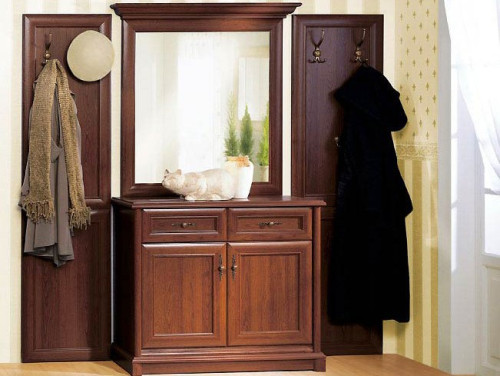 Фото дзеркала 102 СОНАТА Гербор у кольорі каштан в інтер'єрі передпокою