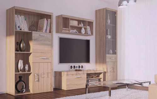 Фото стеллажа с баром REG1D1S1B DAMIS VMV Holding в интерьере гостиной