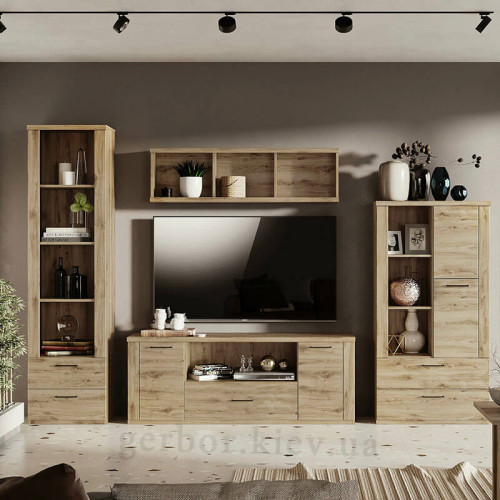 Фото відкритого низького стелажу DOORSET 1D2S MEBELBOS в інтер'єрі вітальні