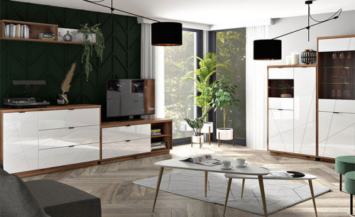 Фото витрины FORN REG1D1W BRW дуб делано темный / белый глянец в интерьере гостиной