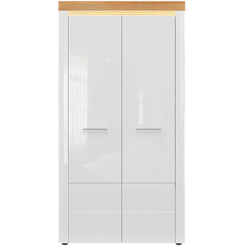 Фото комбинированного шкафа HORTON SZF2D BRW – вид спереди