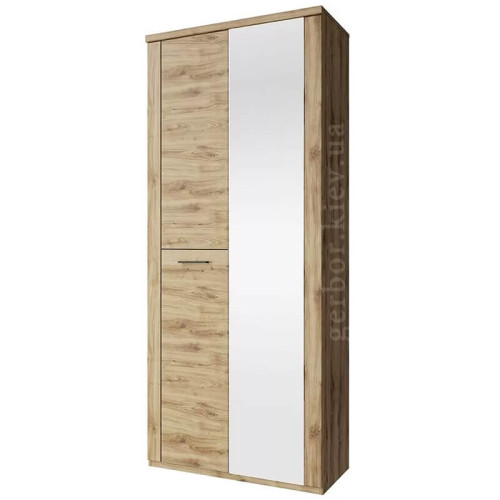 Фото шафи з дзеркалом DOORSET 2D MEBELBOS