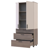 ТОРН Шафа 2 ДСП/3Ш полиці ДОРОС (DOROS) кремона канноло / кашемір ТОРН Шафа 2 ДСП/3Ш полиці ДОРОС (DOROS) кремона канноло / кашемір