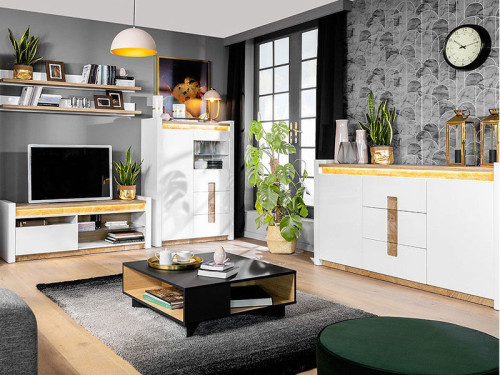 Фото полки ALAMEDA POL/147 BRW в интерьере