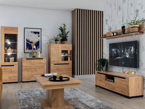 Фото тумбы PRISCO PR2 BOGFRAN в интерьере гостиной