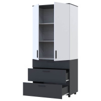 ТОРН Шафа 2 ДСП/3Ш полиці ДОРОС (DOROS) антрацит / білий ТОРН Шафа 2 ДСП/3Ш полиці ДОРОС (DOROS) антрацит / білий