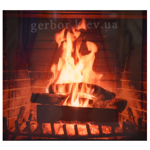 Фото вітрини з каміном G-TE GT6+GT7 LIVEO BOGFRAN – декоративна вставка "камін"